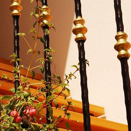 Apartment Mladenka Visnjik Zadar Zewnętrze zdjęcie